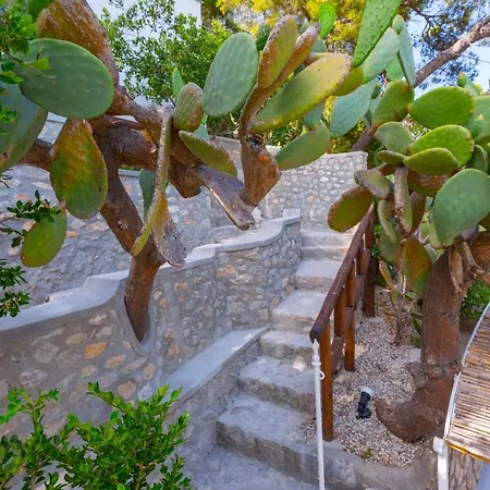 ヴィラ Faraglionensis Monaconehouse *