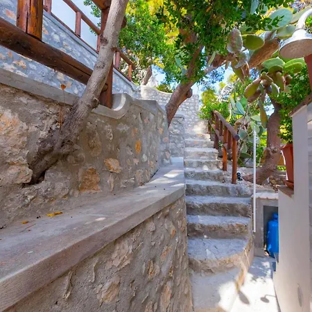 Faraglionensis Monaconehouse *