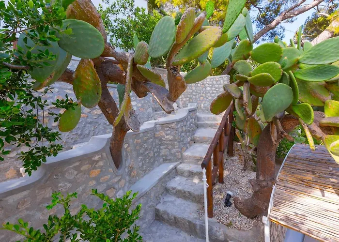 Villa Faraglionensis Monaconehouse *