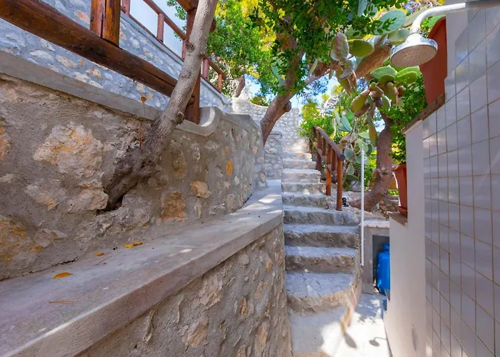 Faraglionensis Monaconehouse *