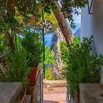 Faraglionensis Monaconehouse